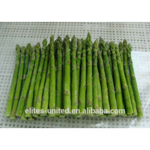 non-gmo frozen green frozen asparagus price